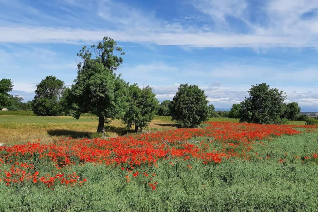 Cal Bello Casa Rural Лерида Экстерьер фото